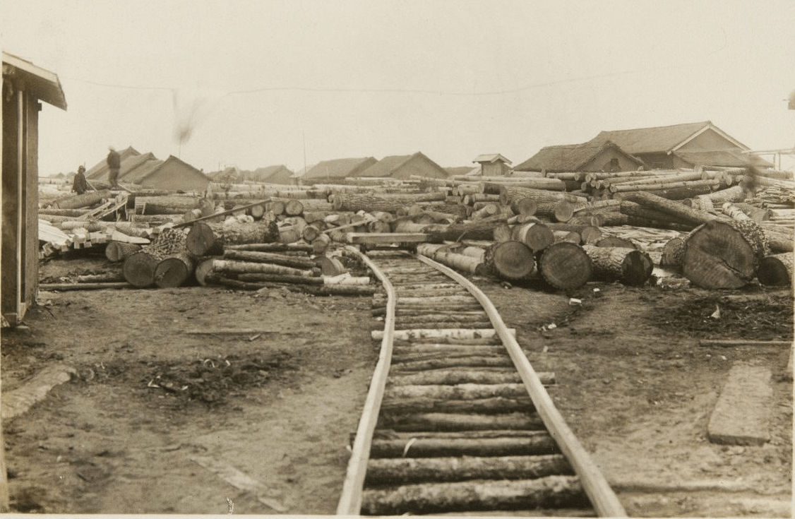 原創(chuàng)偽滿洲國時期的彌榮村：日本移民搶奪資源，無惡不作